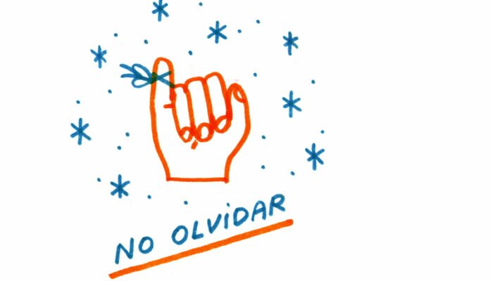 Lo que construimos